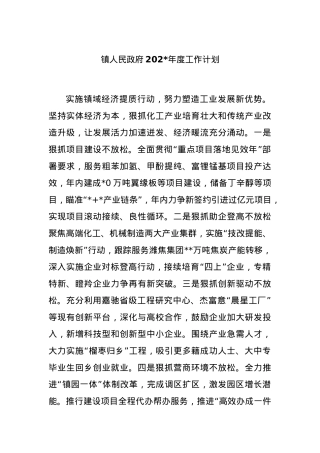 镇人民政府2024年度工作计划.docx