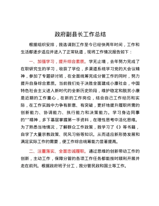 政府副县长工作总结.docx