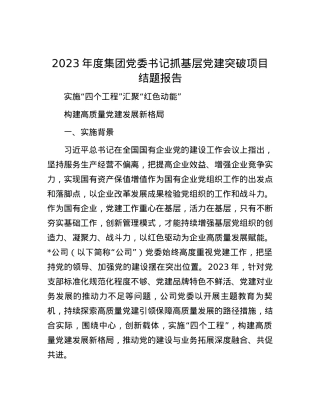2023年度集团党委书记抓基层党建突破项目结题报告.docx