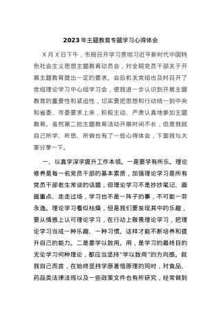 2023年主题教育专题学习心得体会.docx