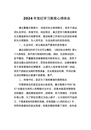 2024年党纪学习教育学习新版《中国共产党纪律处分条例》心得体会四篇.docx