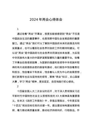2024年两会心得体会.docx