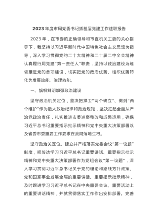 2023年度市局党委书记抓基层党建工作述职报告.docx