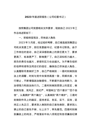 2023年度述职报告（公司纪委书记）.docx