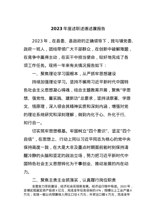 2023年度述职述德述廉报告.docx