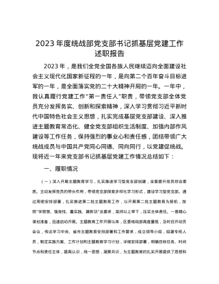 2023年度统战部党支部书记抓基层党建工作述职报告.docx