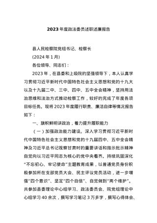2023年度政法委员述职述廉报告.docx