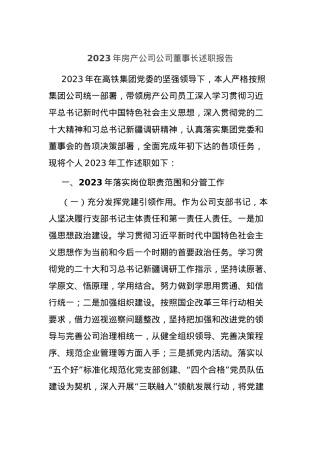 2023年房产公司公司董事长述职报告.docx