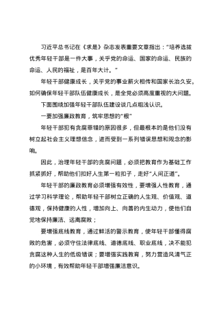 新时代高素质专业化年轻干部队伍建设研讨发言.docx