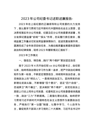 2023年公司纪委书记述职述廉报告 -.docx