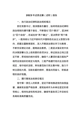 2023年述责述廉（述职）报告.docx