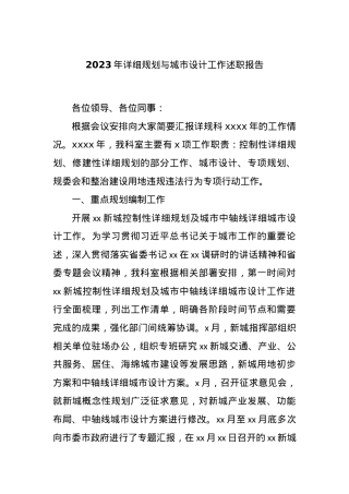 2023年详细规划与城市设计工作述职报告.docx