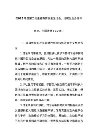2023年度第二批主题教育民主生活会、组织生活会批评意见、问题清单（30条）..docx