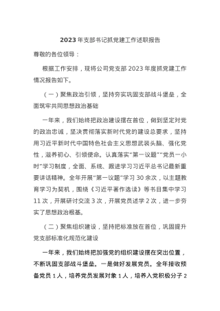 2023年支部书记抓党建工作述职报告.docx