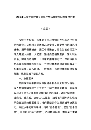 2023年度主题教育专题民主生活会检视问题整改方案（会后）.docx