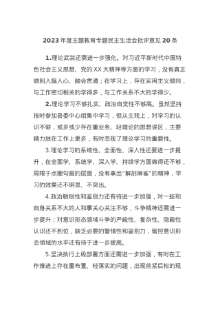 2023年度主题教育专题民主生活会批评意见20条.docx