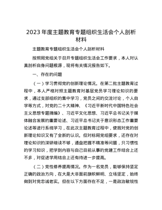 2023年度主题教育专题组织生活会个人剖析材料.docx