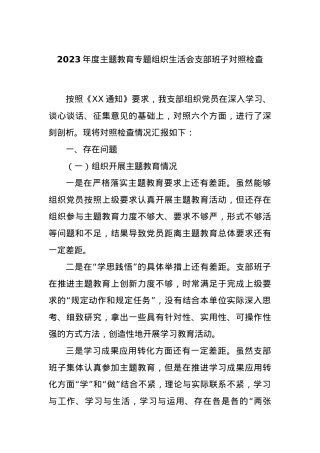 2023年度主题教育专题组织生活会支部班子对照检查.docx