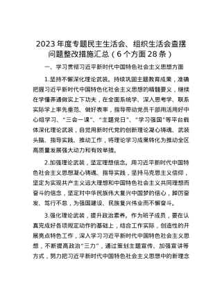 2023年度专题民主生活会、组织生活会查摆问题整改措施汇总（6个方面28条）.docx