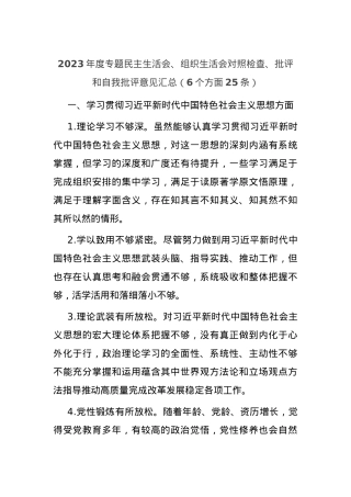 2023年度专题民主生活会、组织生活会对照检查、批评和自我批评意见汇总（6个方面25条）.docx