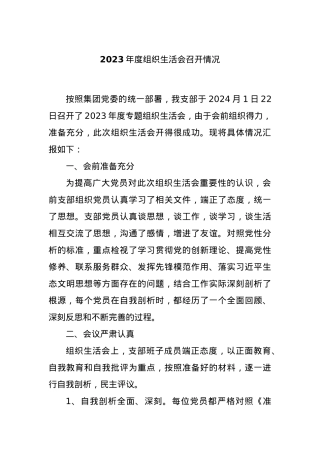 2023年度组织生活会召开情况..docx