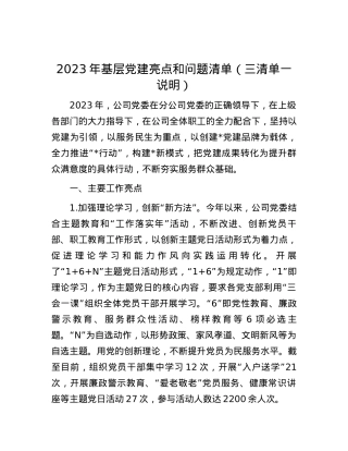 2023年基层党建亮点和问题清单（三清单一说明）.docx