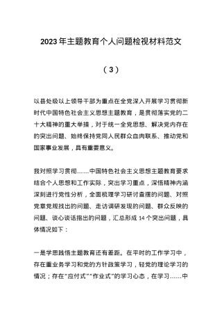 2023年主题教育个人问题检视材料范文（3）.docx