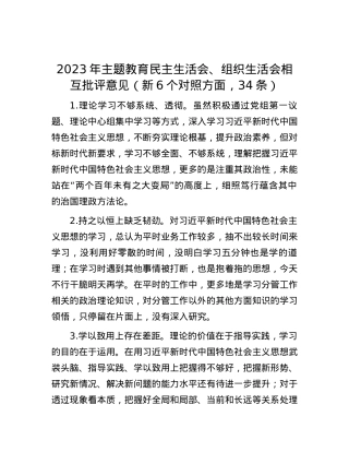 2023年主题教育民主生活会、组织生活会相互批评意见（新6个对照方面，34条）.docx