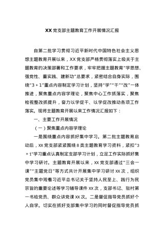 XX党支部主题教育工作开展情况汇报.docx