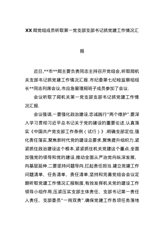 XX局党组成员听取第一党支部支部书记抓党建工作情况汇报.docx