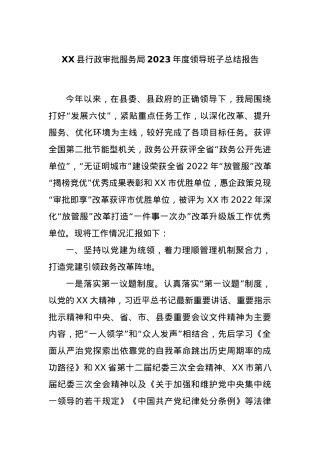 XX县行政审批服务局2023年度领导班子总结报告.docx