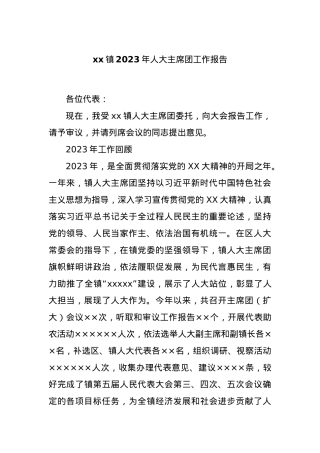 xx镇2023年人大主席团工作报告.docx