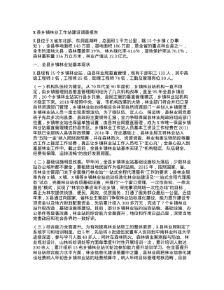 X县乡镇林业工作站建设调查报告.docx