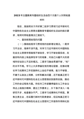 2023年主题教育专题组织生活会四个方面个人对照检查材料.docx