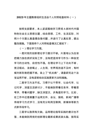 2023年主题教育组织生活会个人对照检查材料（一）.docx
