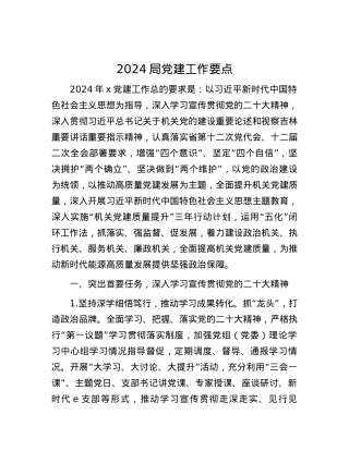 2024局党建工作要点.docx