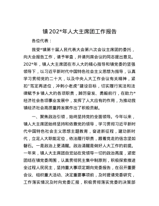 镇2024年人大主席团工作报告.docx