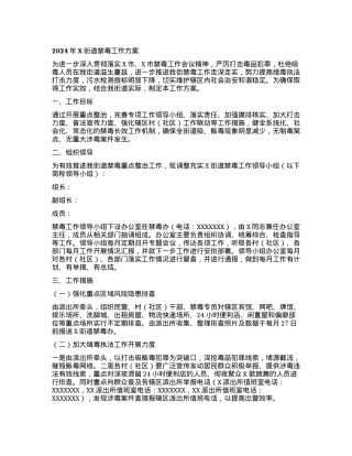 2024年X街道禁毒工作方案.docx