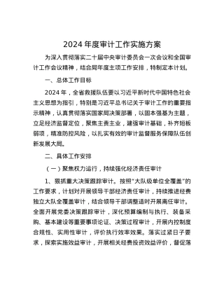 2024年度审计工作实施方案.docx