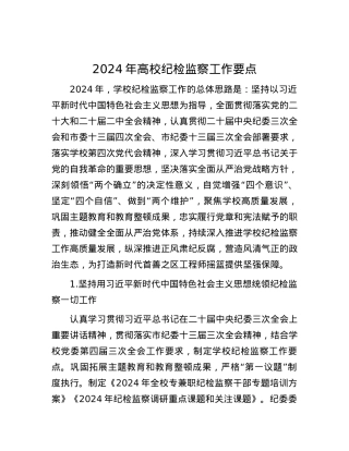 2024年高校纪检监察工作要点.docx