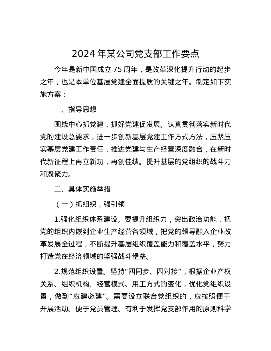2024年某公司党支部工作要点.docx_第1页