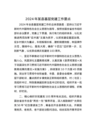 2024年某县基层党建工作要点.docx