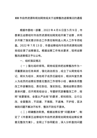 XX市自然资源和规划局党组关于巡察整改进展情况的通报.docx