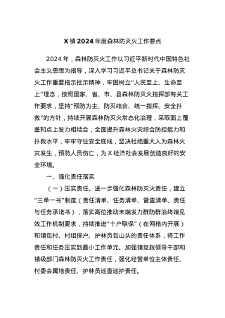 X镇2024年度森林防灭火工作要点.docx