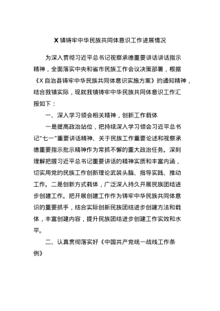X镇铸牢中华民族共同体意识工作进展情况.docx