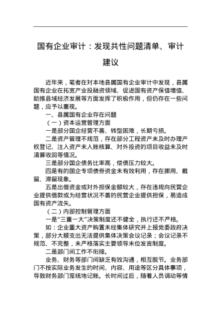 国有企业审计：发现共性问题清单、审计建议.docx