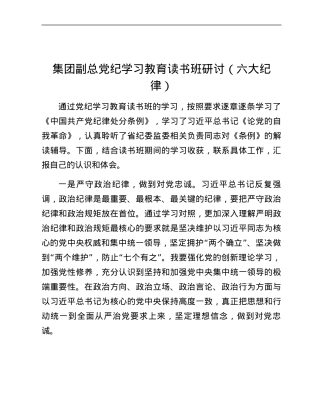 集团副总党纪学习教育读书班研讨（六大纪律）.docx
