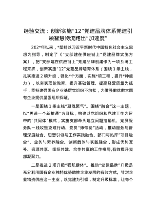 经验交流：创新实施“12666”党建品牌体系党建引领智慧物流跑出“加速度”.docx