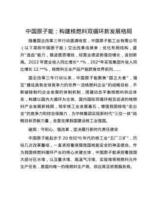 中国原子能：构建核燃料双循环新发展格局.docx