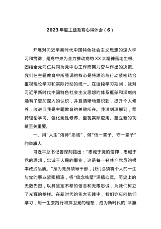 2023年度主题教育心得体会（6）.docx